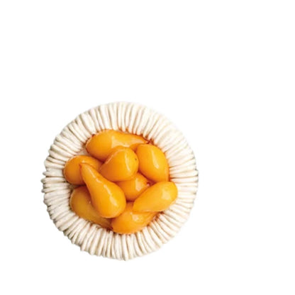 Moule Silicone Foret Noire | Pâtisserie & Entremet